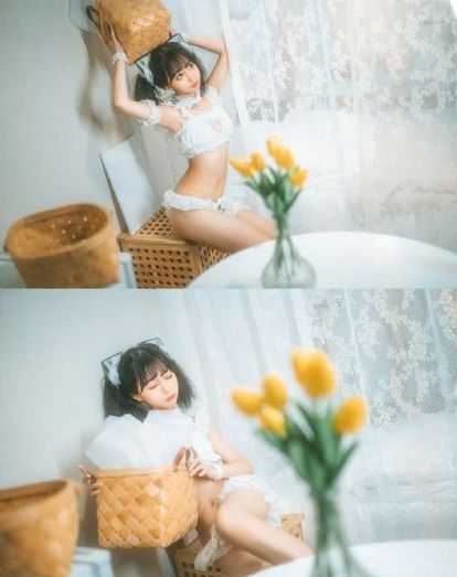 狐影电视剧全集免费观看
