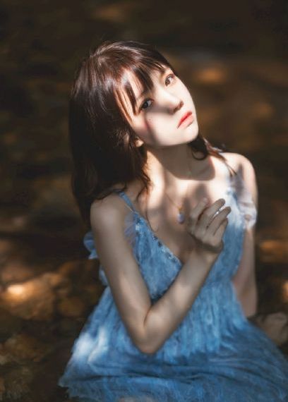 《黑狐》电视剧