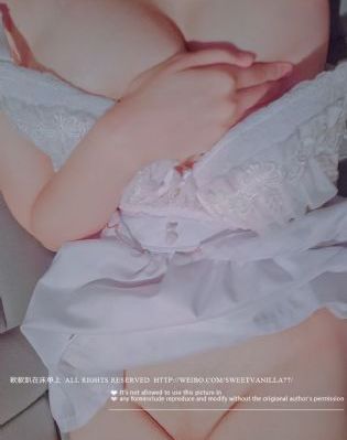银砂糖师与黑妖精