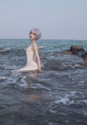 电视剧情满四合院免费完整版
